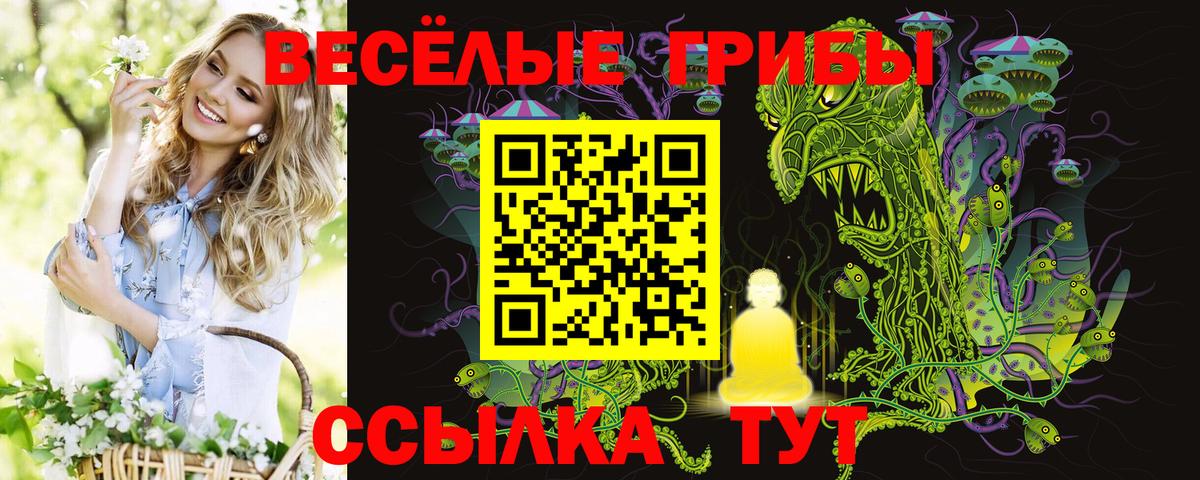 Псилоцибиновые грибы мицелий  Вход с VPN  сколько стоит  Арзамас 